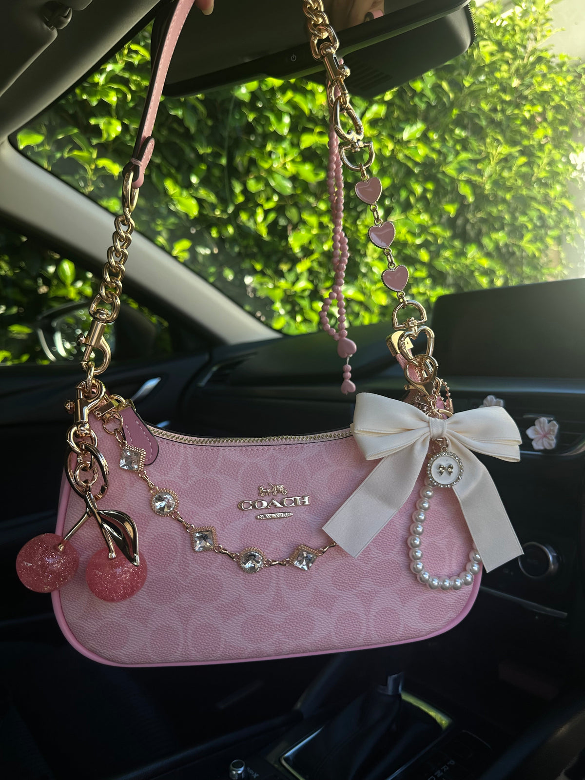 Pink Teri Charmed bag