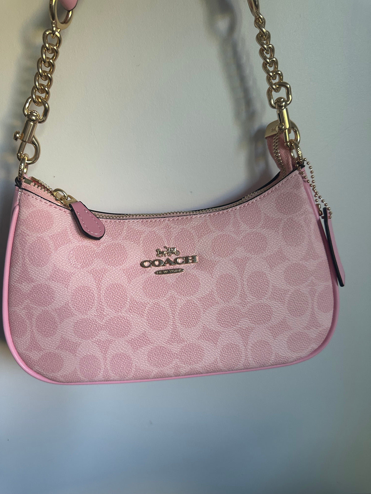 Pink Teri Charmed bag