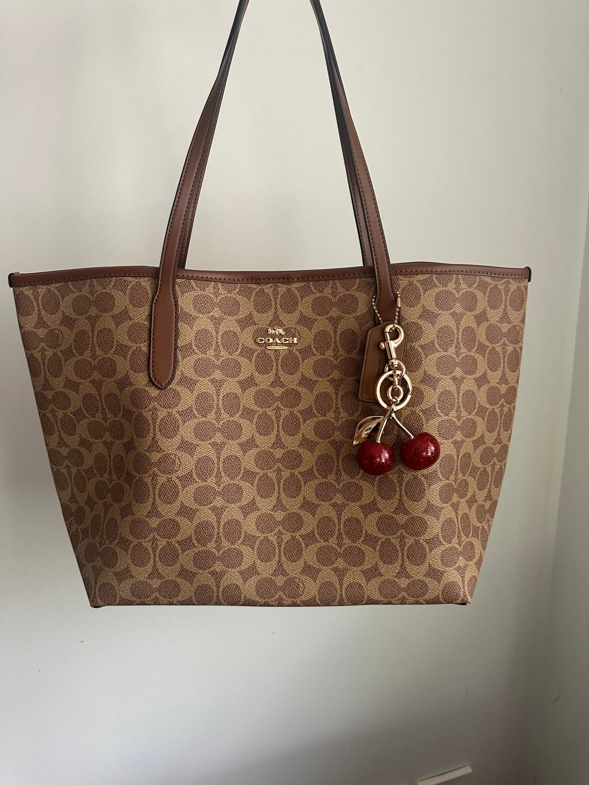 Brown Charmed Teri Tote Bag