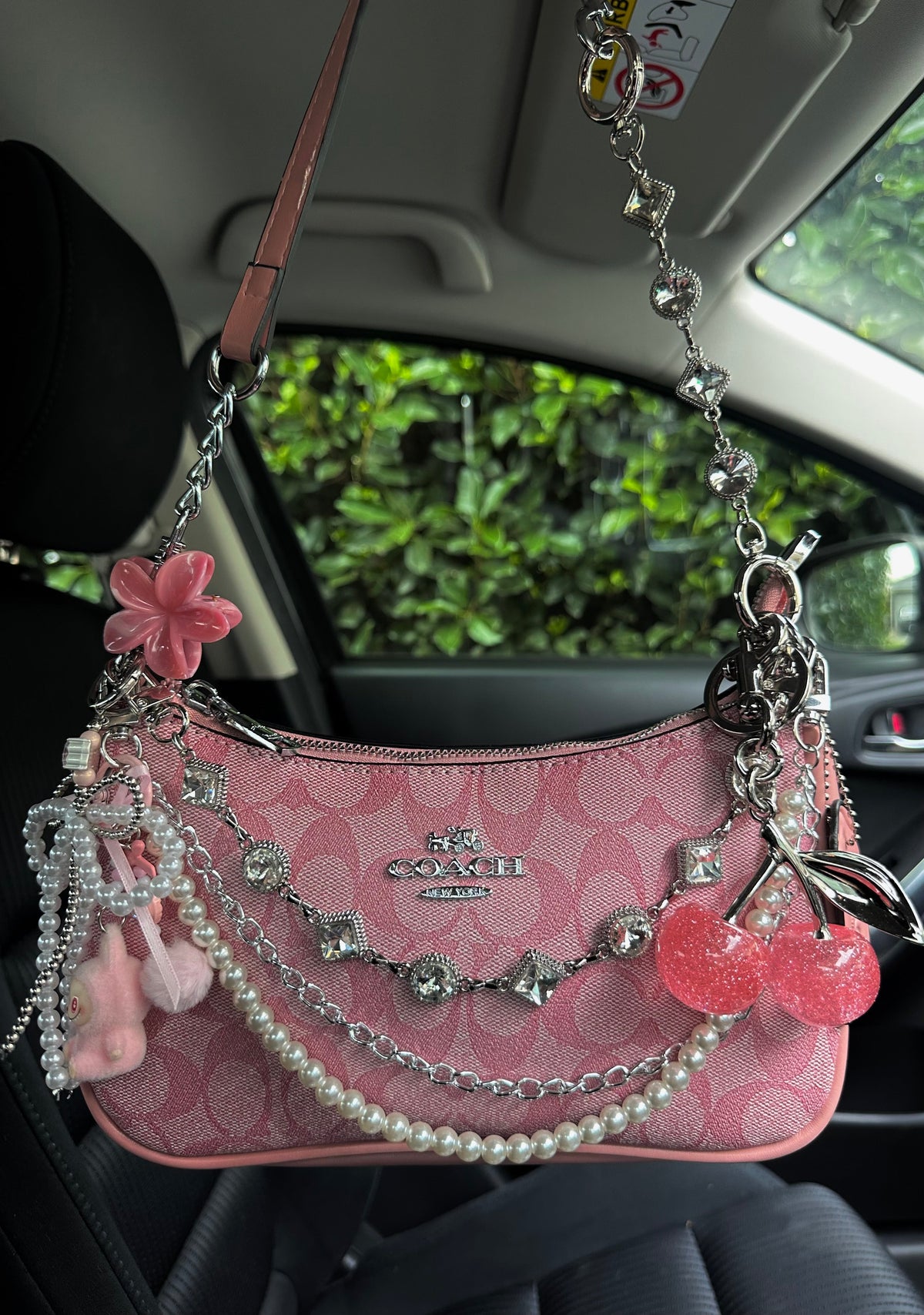 Hot Pink Silver Teri Bag