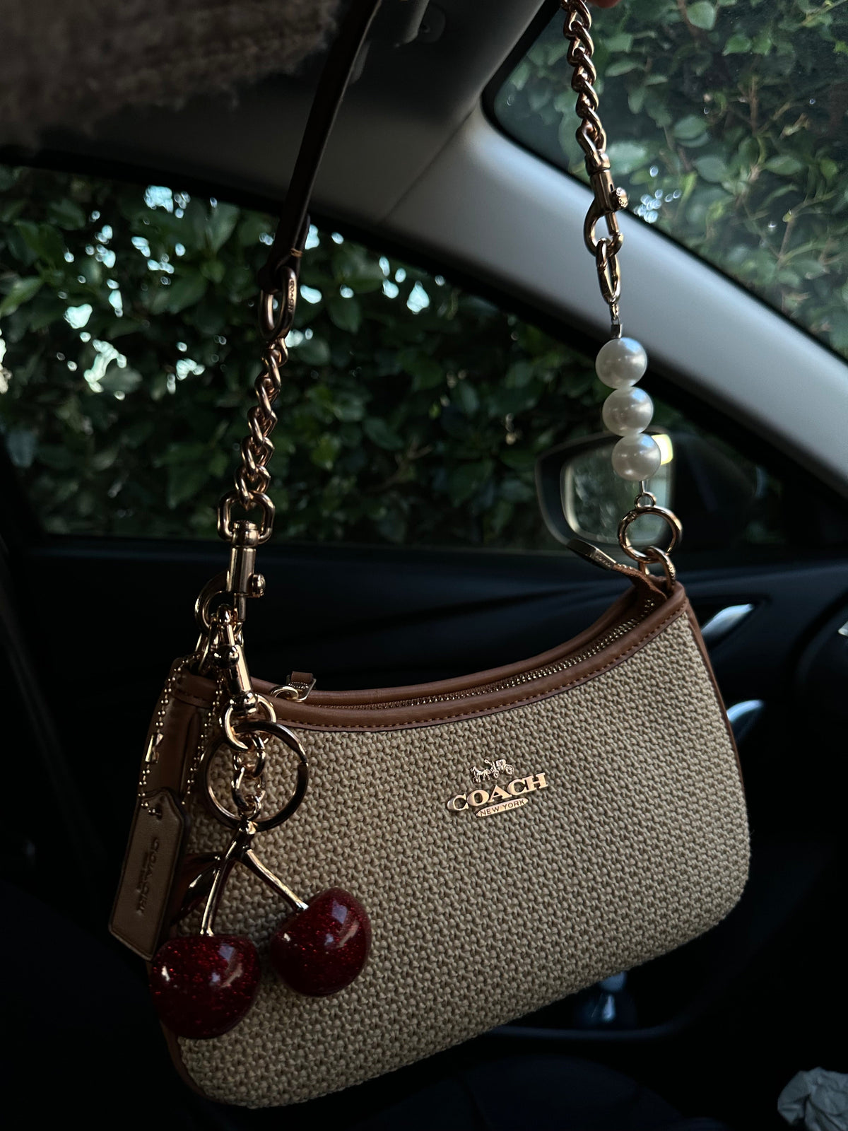 Beige brown Beach Teri Coach Shoulder Handbag