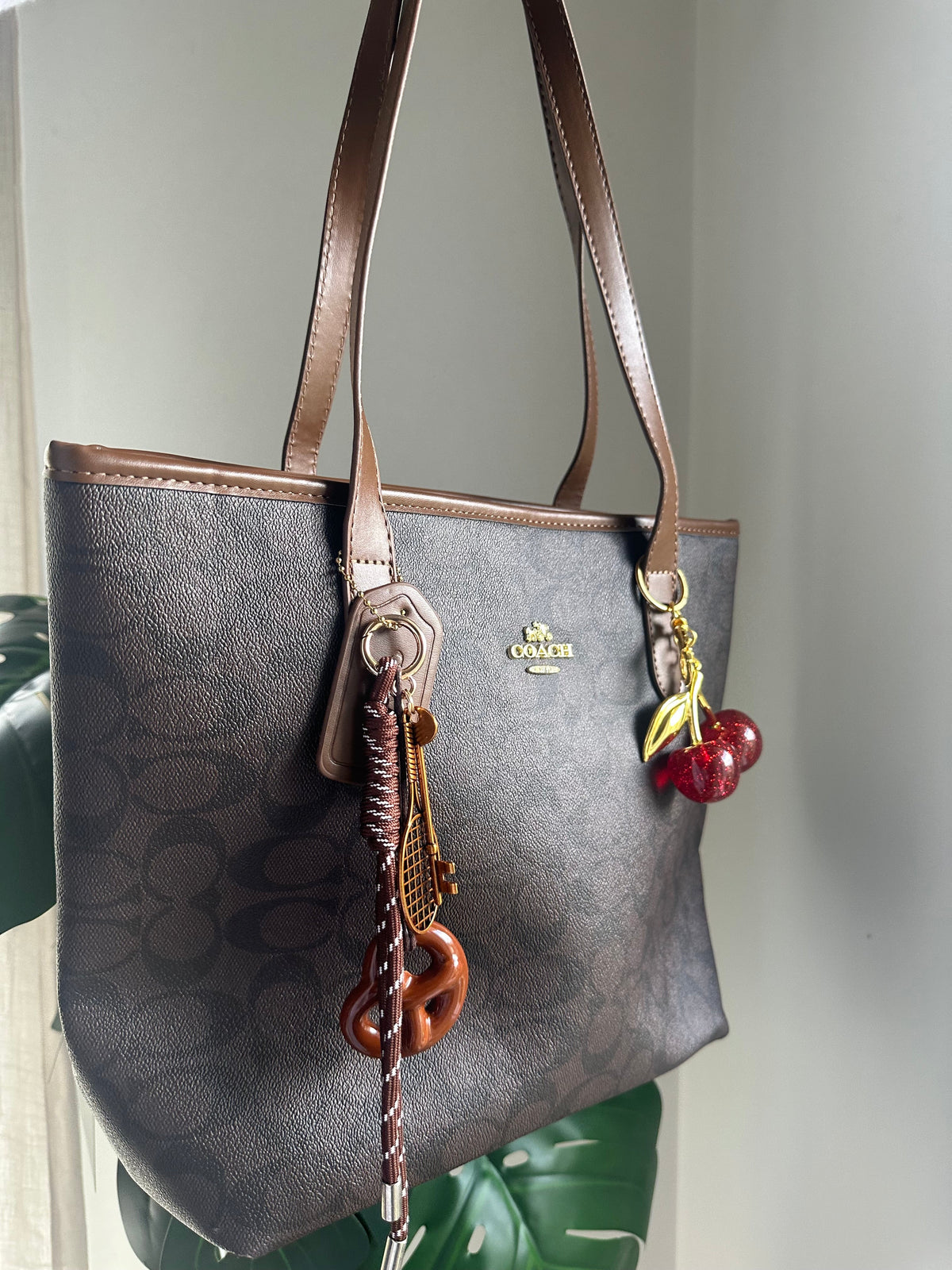 Signature Canvas Tote Bag – Brown and Black