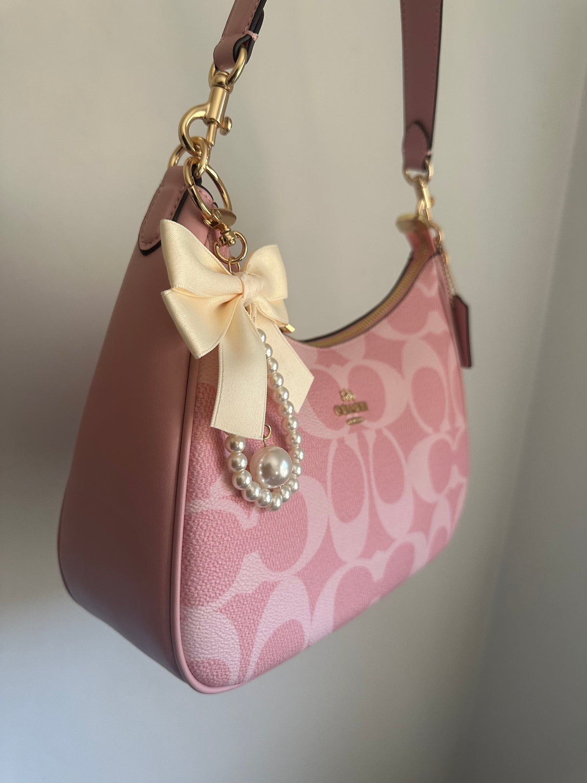 Pink Hobo Teri Charmed bag