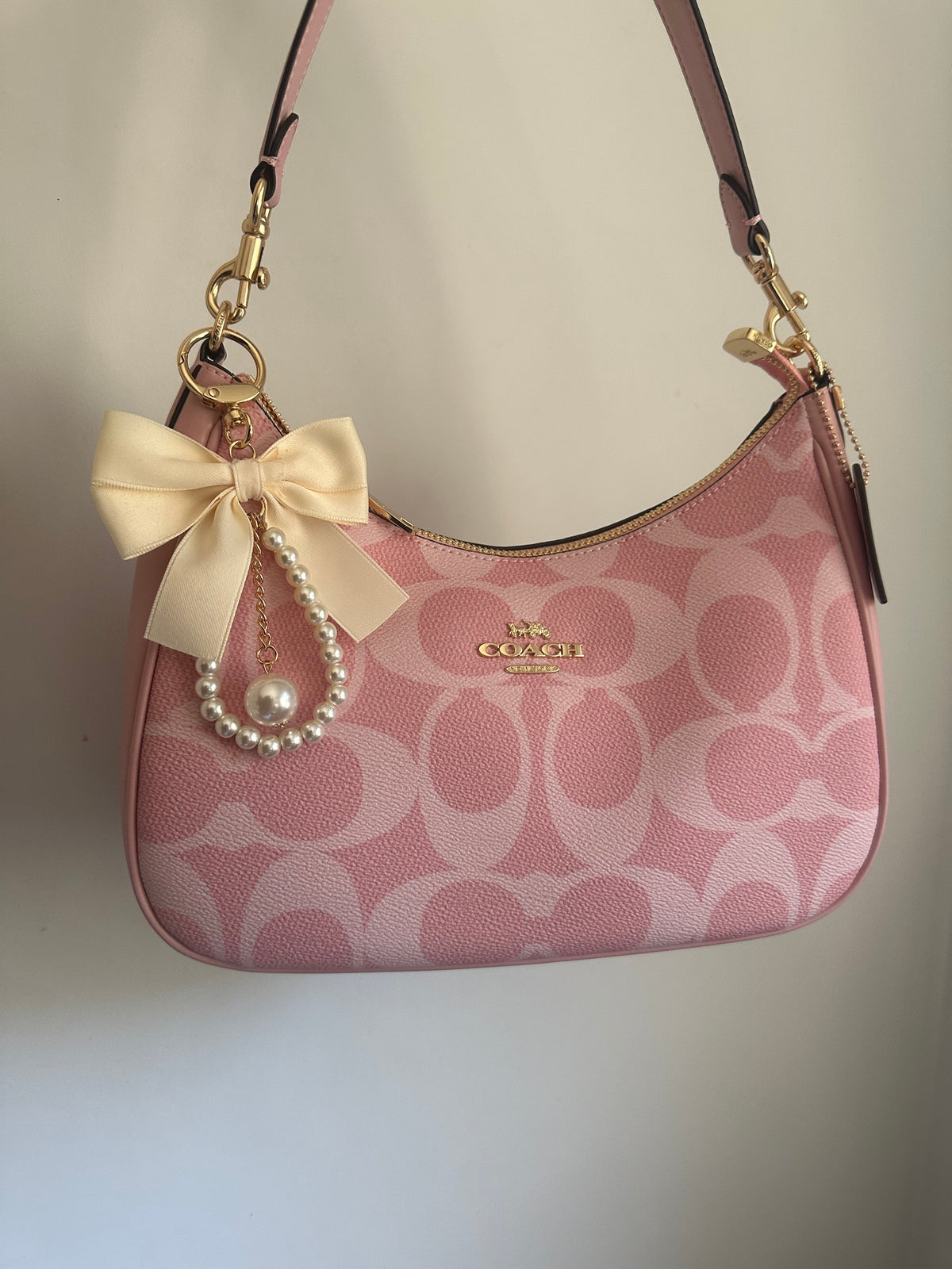 Pink Hobo Teri Charmed bag