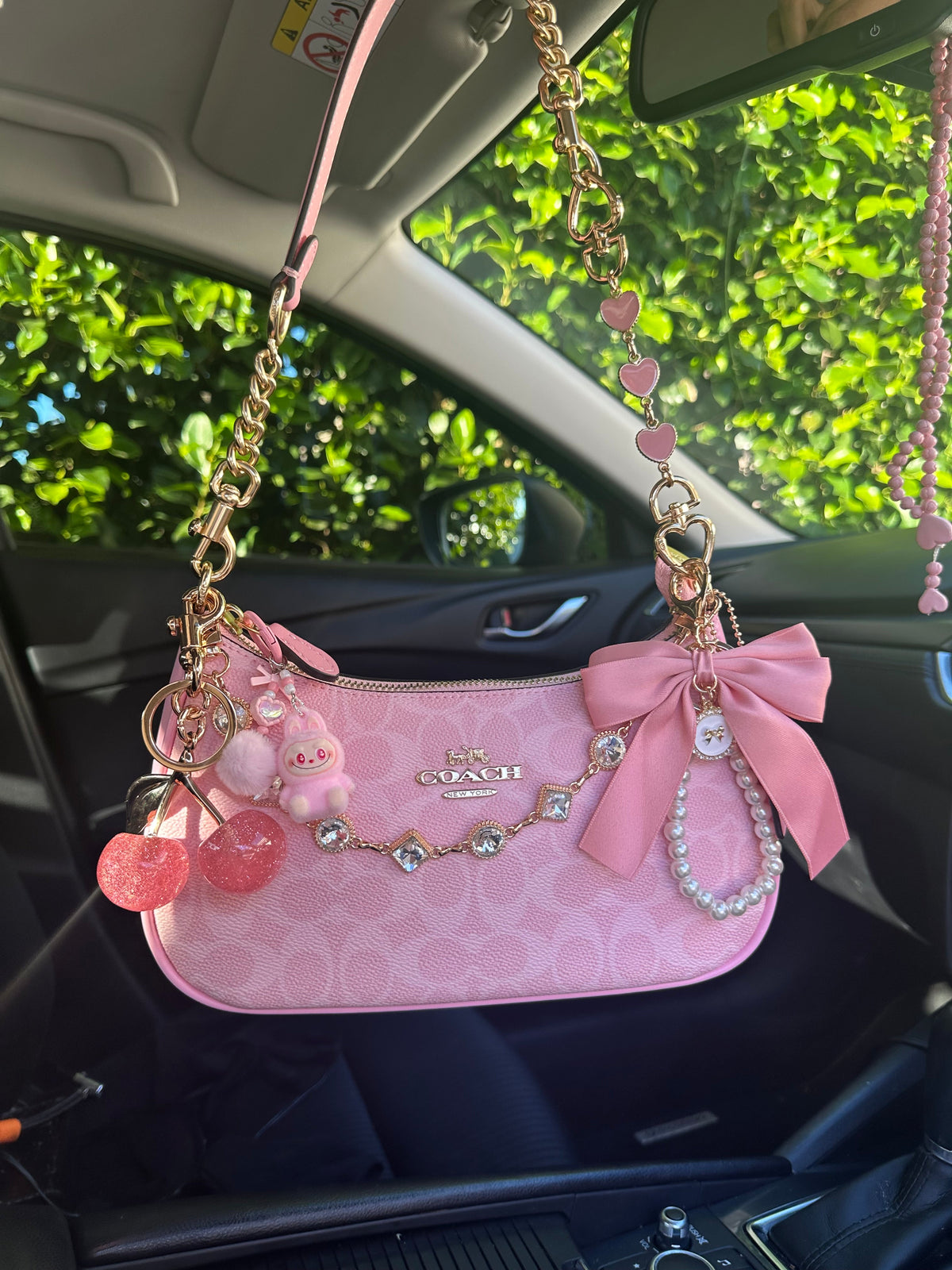 Pink Teri Charmed bag