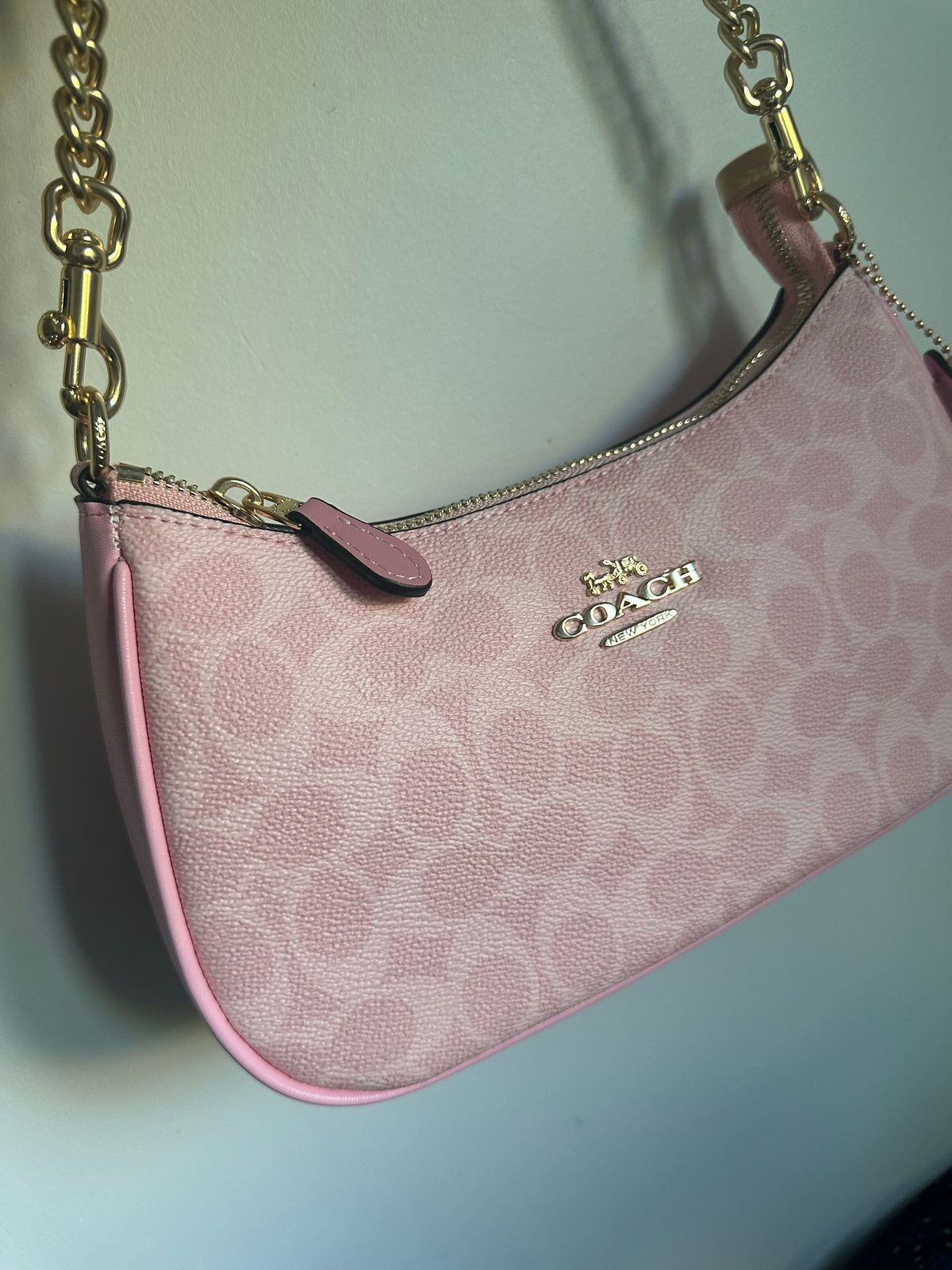 Pink Teri Charmed bag