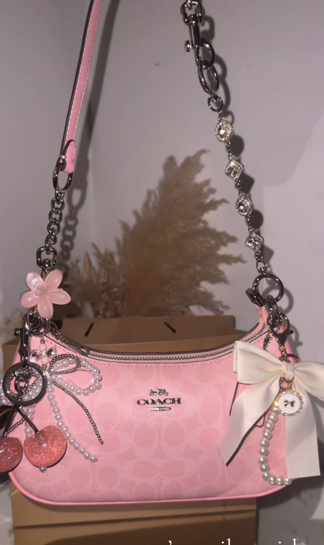 Pink Teri Charmed bag